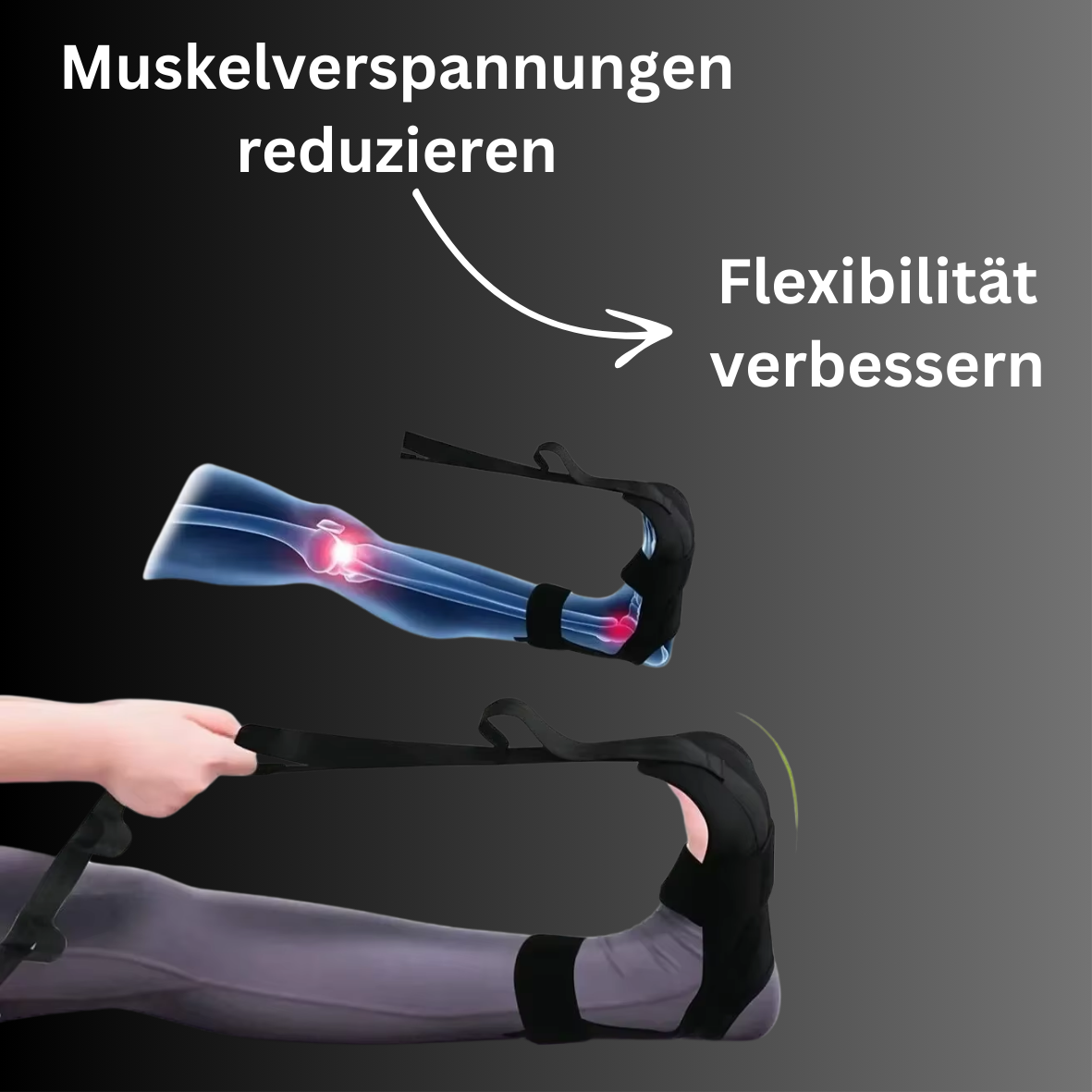 Rehaflex - Dein Partner für gezielte Rehabilitation und Fitness